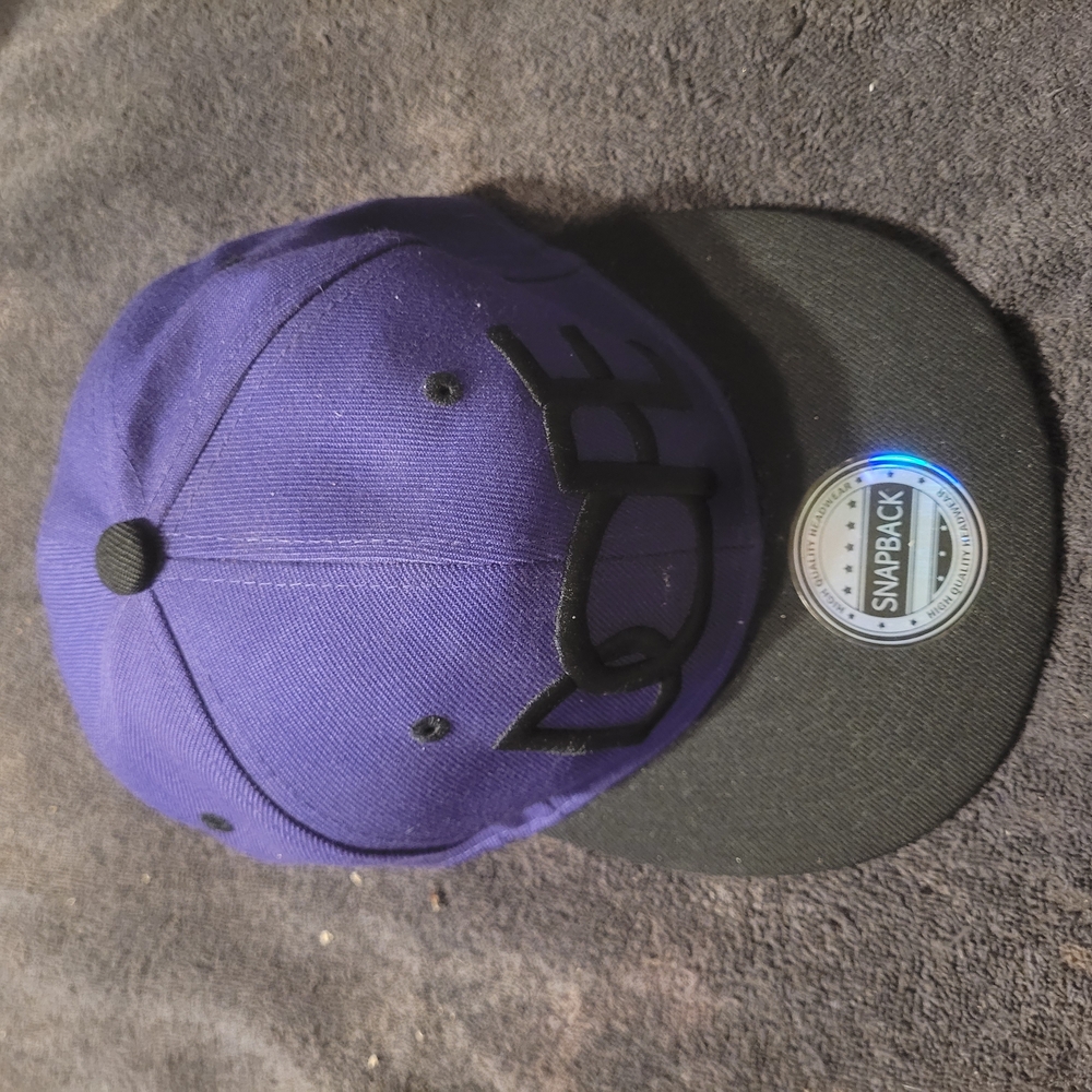 Purple and Black Snapback Hat
